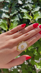 Anillo Iris